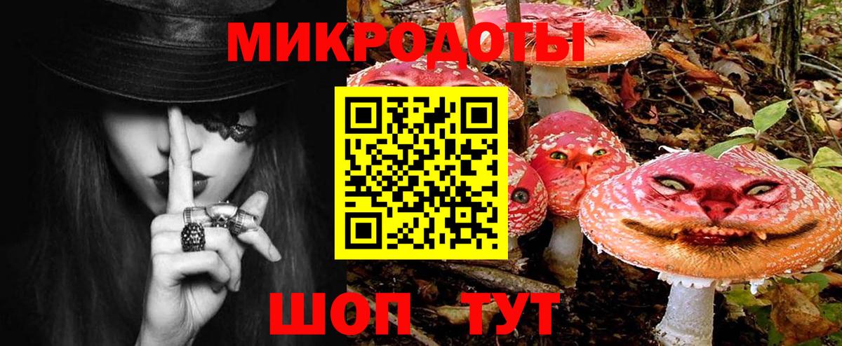 Галлюциногенные грибы Psilocybine cubensis Елабуга