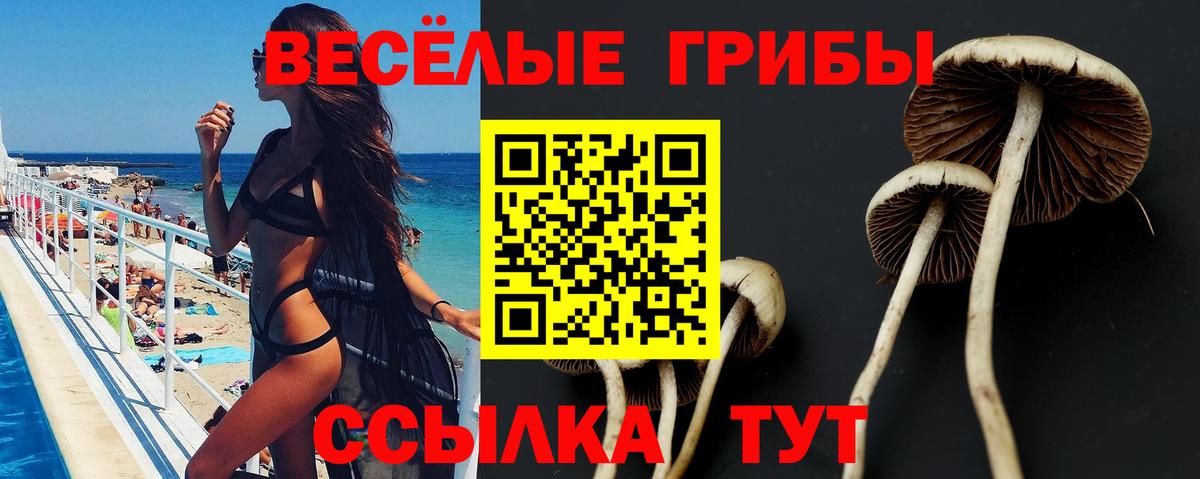 Елабуга  Псилоцибиновые грибы мухоморы  Вход с VPN 